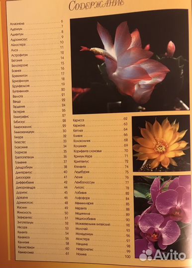 Атлас комнатных растений