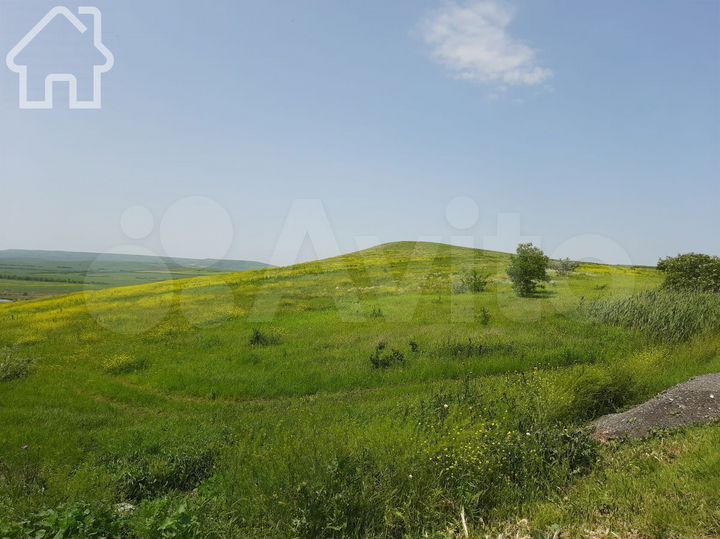 Участок 10 сот. (СНТ, ДНП)
