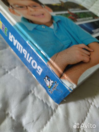 Большая энциклопедия для младших школьников