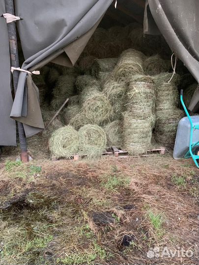 Сено в мини рулонах