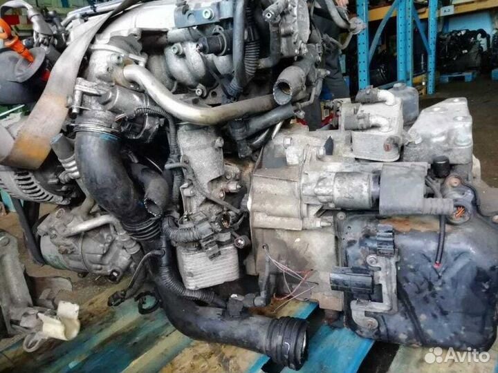 Двигатель Volkswagen Passat BKP