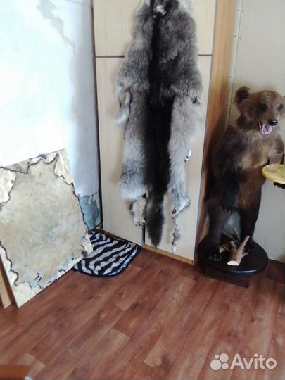 Выделка меха, изготовление чучел зверей и птиц