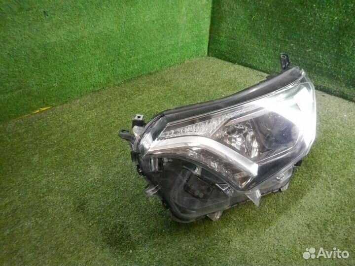 Фара левая Toyota RAV4