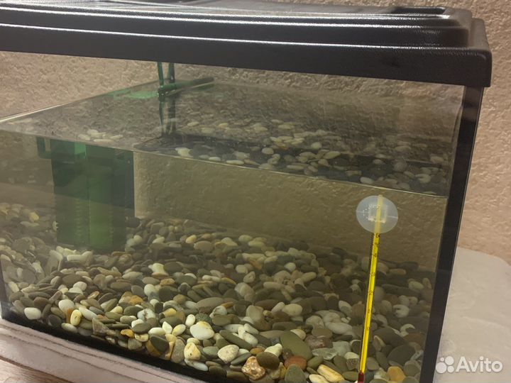 Аквариум с подсветкой и грунтом