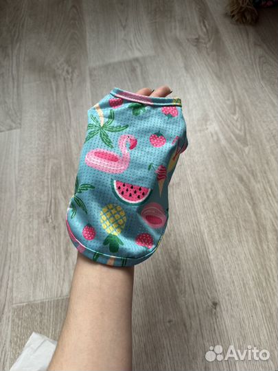 Вещи для собак