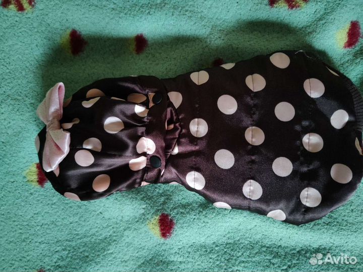 Одежда для собак