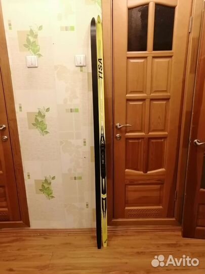 Беговые лыжи fischer