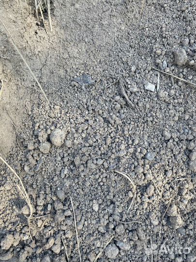 Чернозем для газона