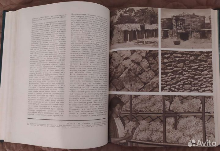 Энциклопедия 