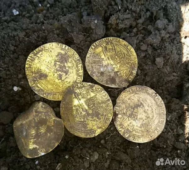 Металлоискатель полупроф X-Terra 705 Прокат/Аренда