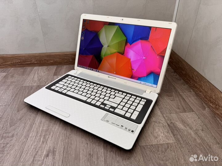 Packard Bell Большой/Мощный (17.3/Core i3/8Gb/SSD)