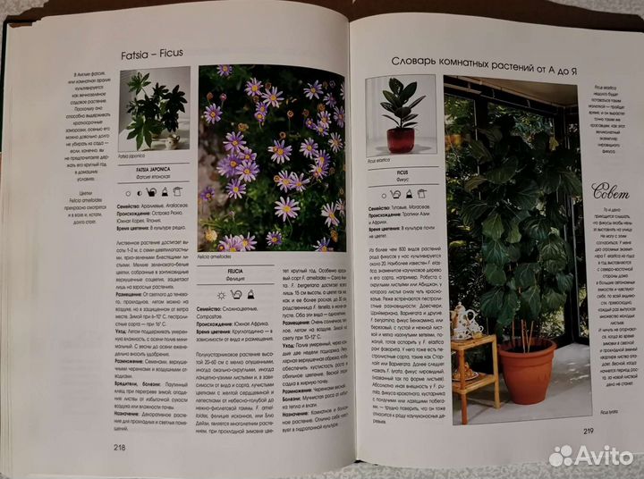 1000 Прекрасных растений в вашем доме