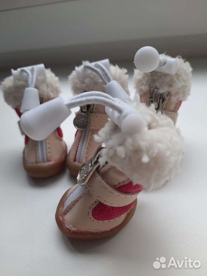 Обувь для собак мелких пород