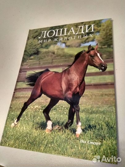 Книги о лошадях и энциклопедия животных