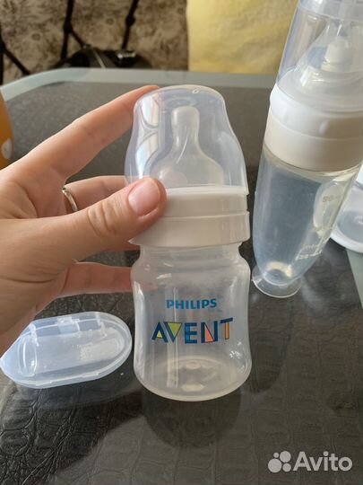 Молокоотсос