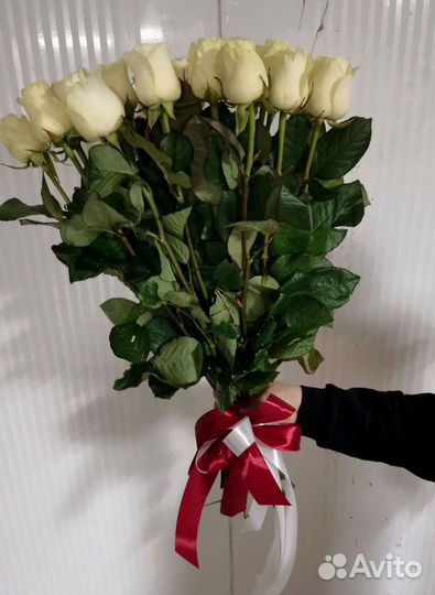 101 роза с доставкой, букет роз с доставкой