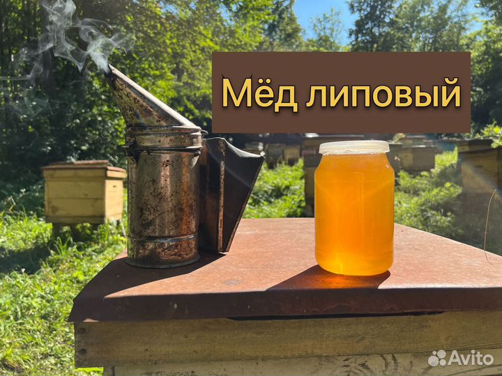 Мед натуральный