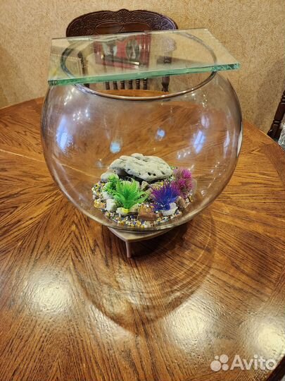 Аквариумы на 10 литров и на 60 литров