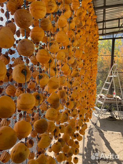 Хурма сушеная