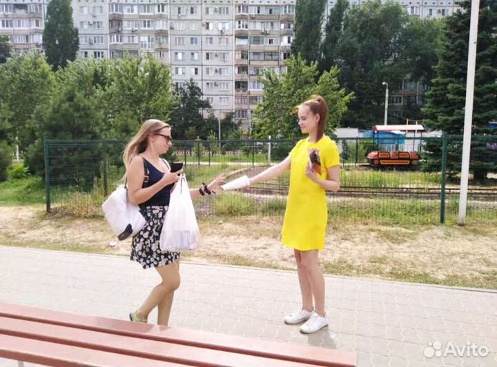 Промоутер, промо-акции, раскидка