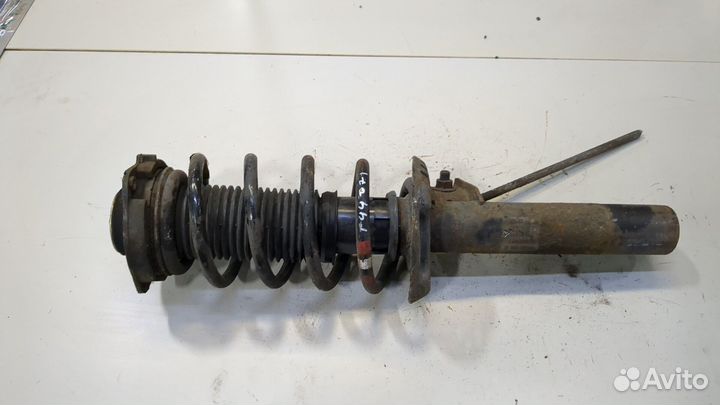 Амортизатор подвески Skoda SuperB, 2012