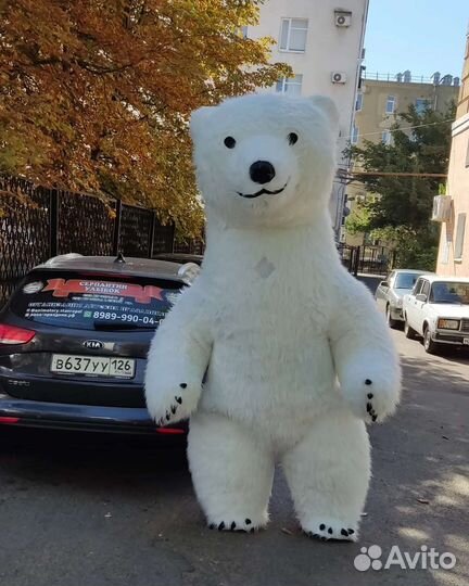 Большой белый мишка