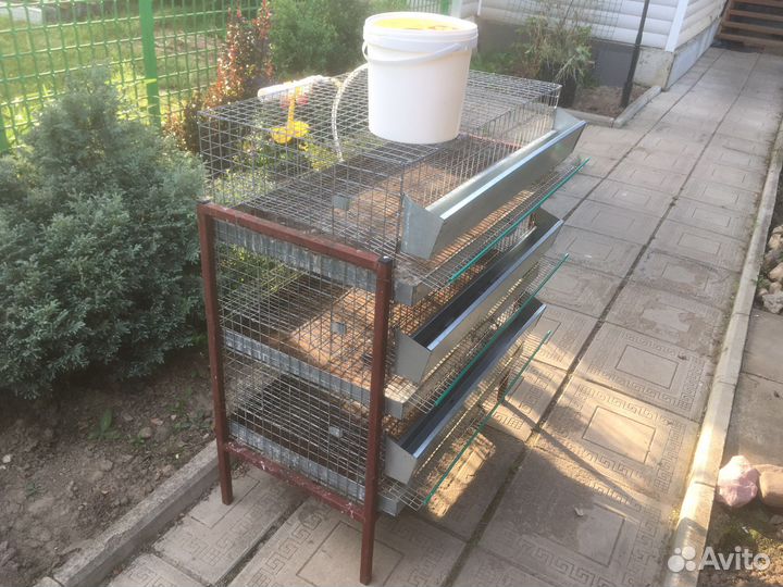 Клетка для перепелов