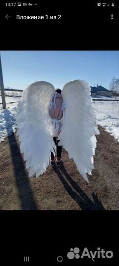 Крылья ангела аренда или продажа