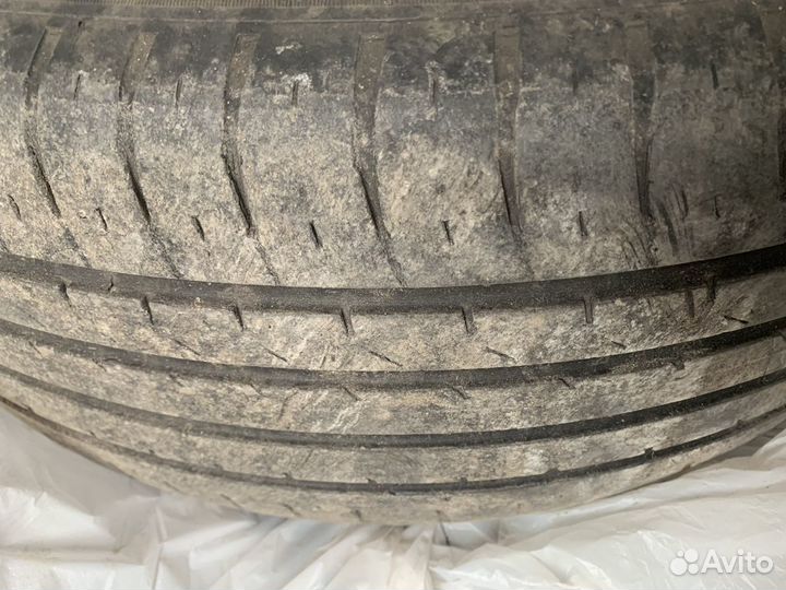 Maxxis Premitra HP5 205/60 R16 92V