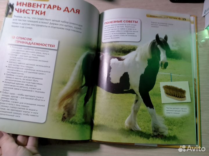 Книги энциклопедия про лошадей