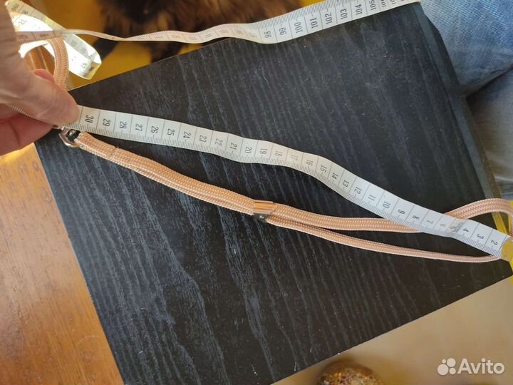 Ринговка для собак