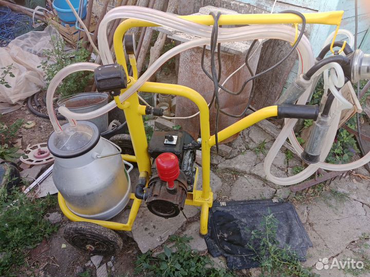 Товары для домашних животных