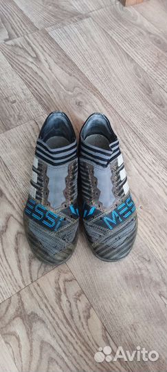 Сороконожка