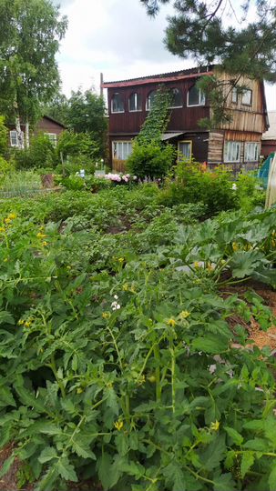 Дача 55,3 м² на участке 10 сот.