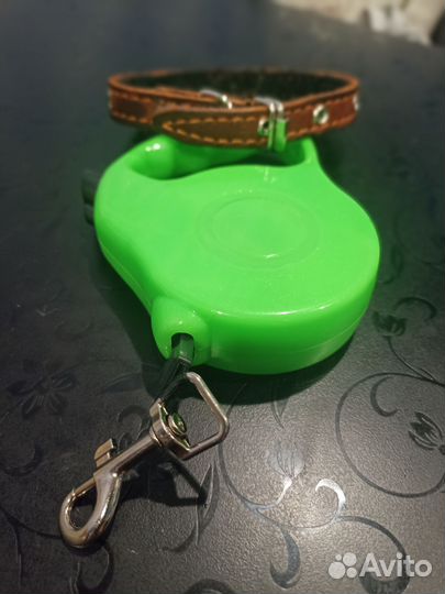 Ошейник с поводком