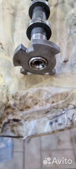 Распредвал на audi Q7 3.0 дизель