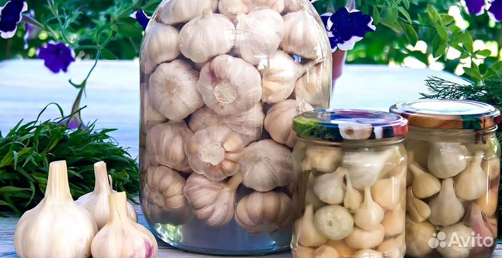 Маринованный чеснок оптом
