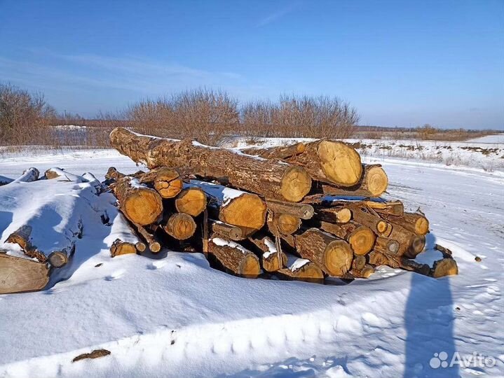 Лес кругляк дровяной пиловочник дуб