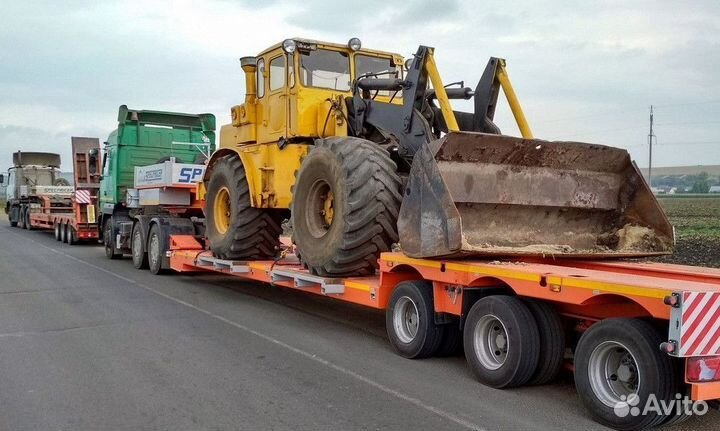 Услуги трал аренда тралл грузоперевозка негабарит