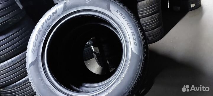 Pirelli Scorpion Winter 255/60 R20 113V