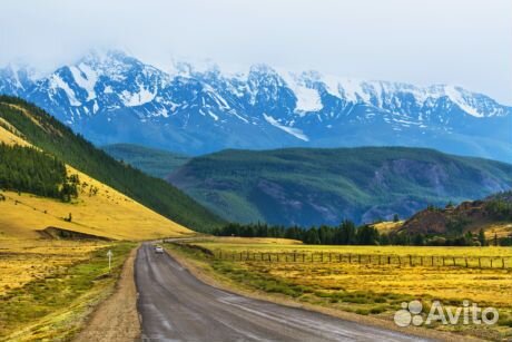 Экскурсионный тур «Алтай Шамбала»