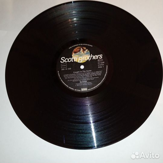 LP.Survivor – Caught In The Game - 1983