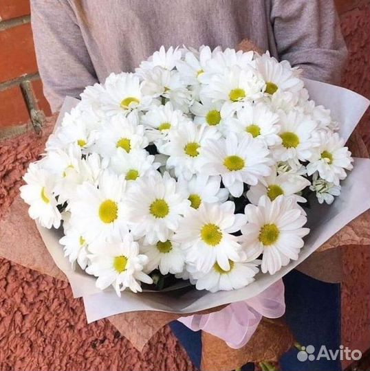 Хризантема Доставка цветов
