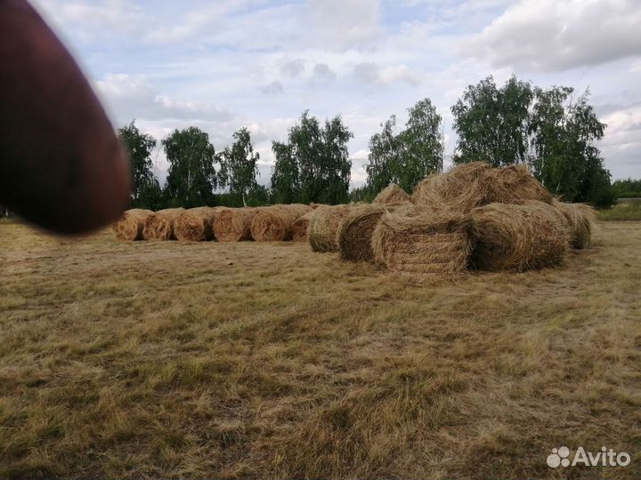 Сено в рулонах