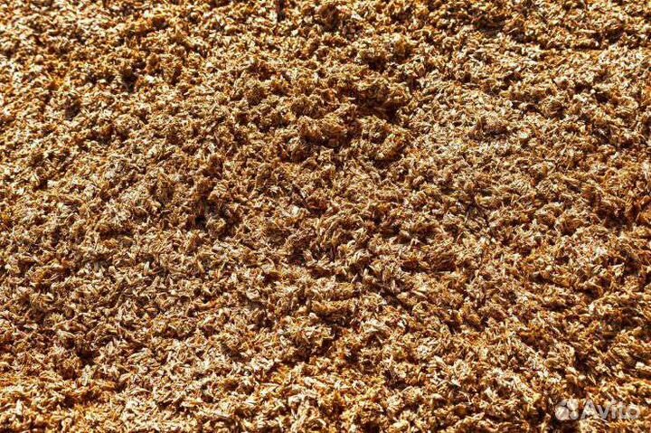 Пивная дробина