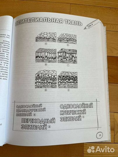 Атлас-расскраска Билич, Зигалова