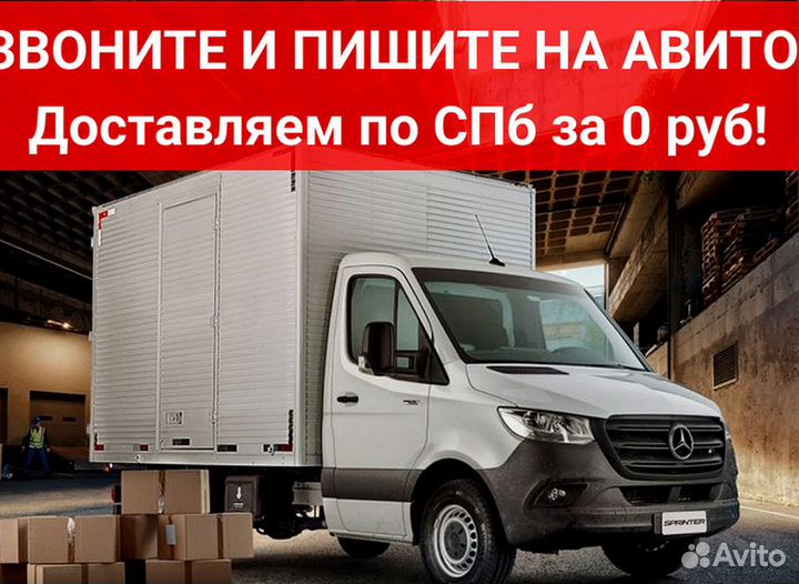 Рохля короткая