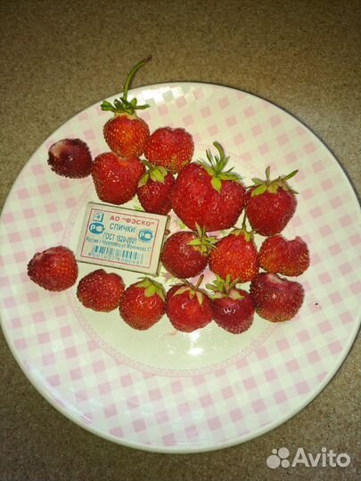 Клубника 2 сорта