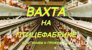 Вахта с проживанием и питанием Разнорабочий 45/60