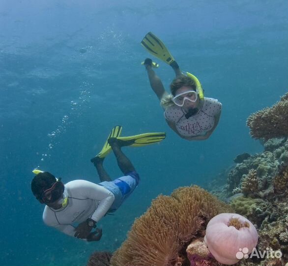 Турпутевка на Maldives от 7 дней